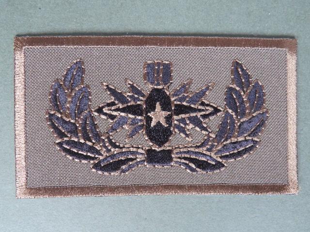 Norway Navy IEDD (Improvised Explosive Devices Disposal) Qualification Patch