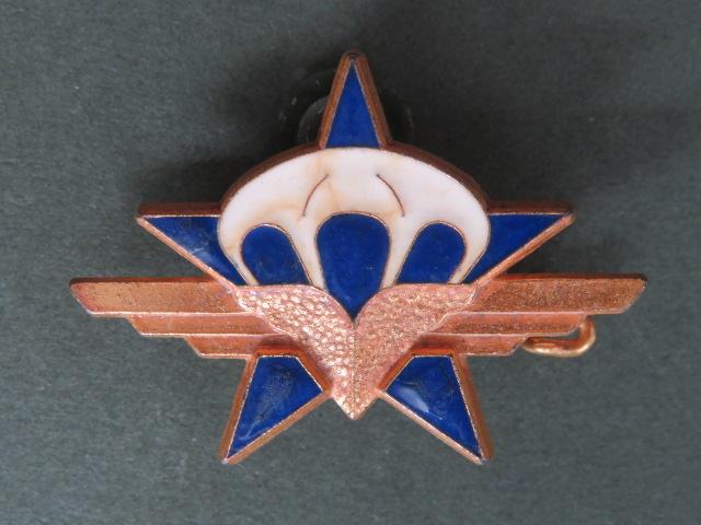 France army 1er R.C.P. (Parachute Infantry Regiment) Pocket Crest