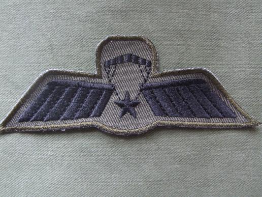 Netherlands Army C Wing Free Fall Parachute Wings