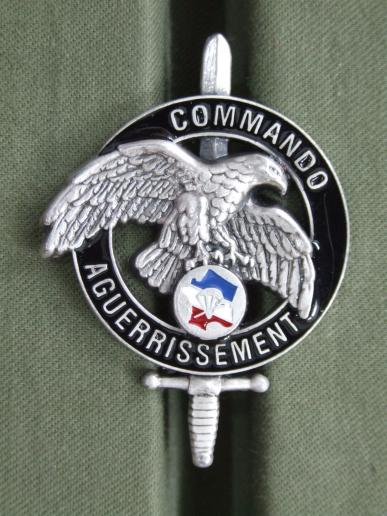 France C.N.E.C. COMMANDO AGUERRISSEMENT Pocket Crest