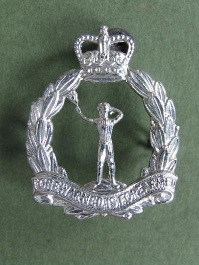 Royal Observer Corps EIIR Cap Badge