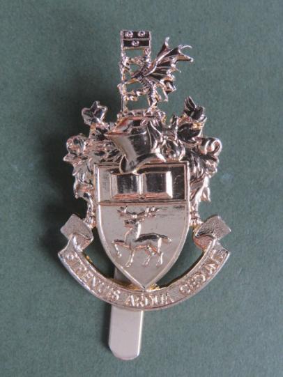 British Army The University of Southampton O.T.C. (Officer Training Corps) Cap Badge