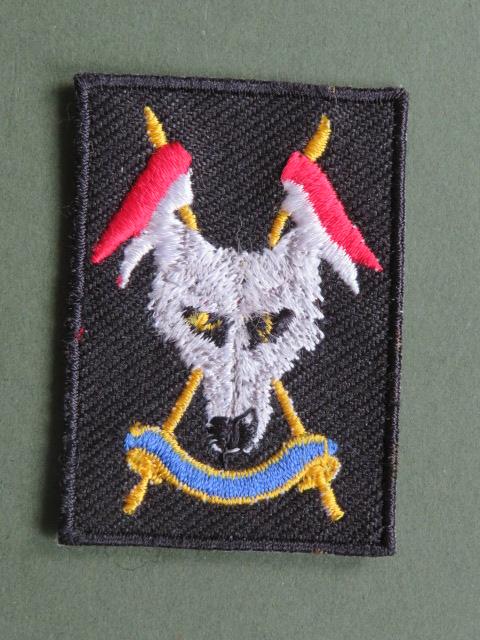 British Army The Scottish & North Irish Yeomanry 1st Pattern Beret Badge