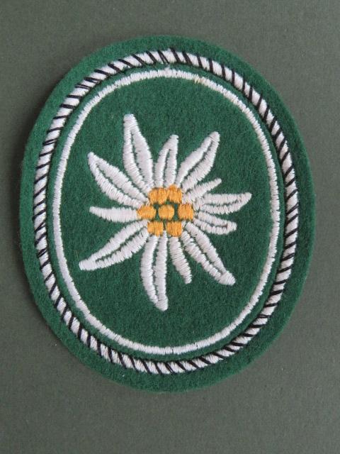 Germany Army 1st Mountain Division Shoulder Patch