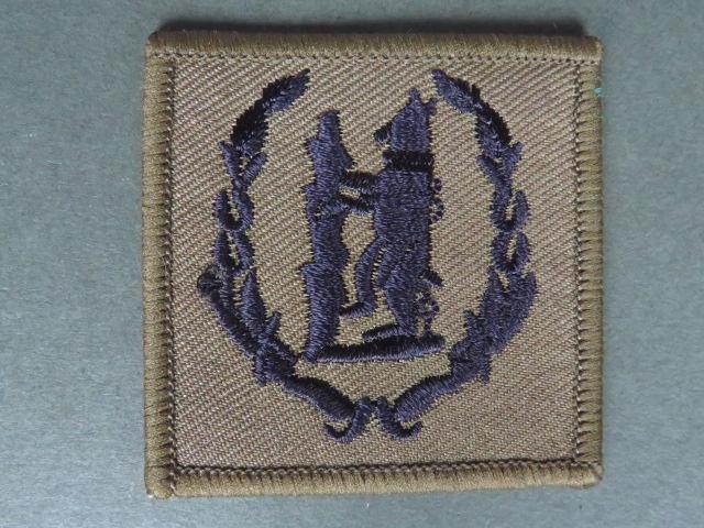 British Army 67th (Queen's Own Warwickshire & Worcestershire Yeomanry) Signal Squadron (V) TRF