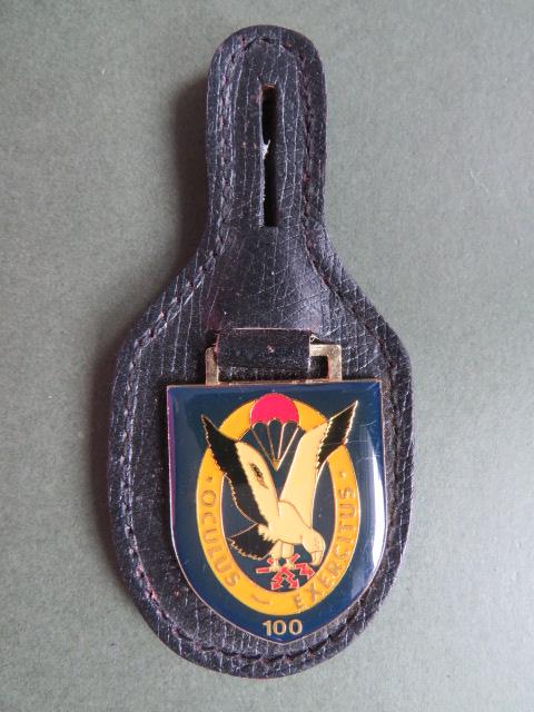 Germany Army 100 Company L.R.R.P. (Long Range Reconnaissance Patrol) Pocket Crest