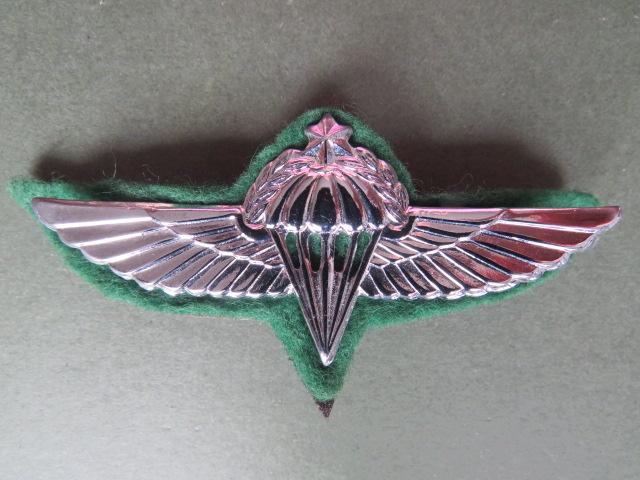 Israel Defence Force Advanced Parachute Wings