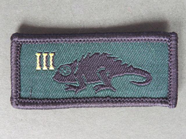 British Army 31 Close Support Squadron, 3 Close Support Regiment, Royal Logistic Corps TRF
