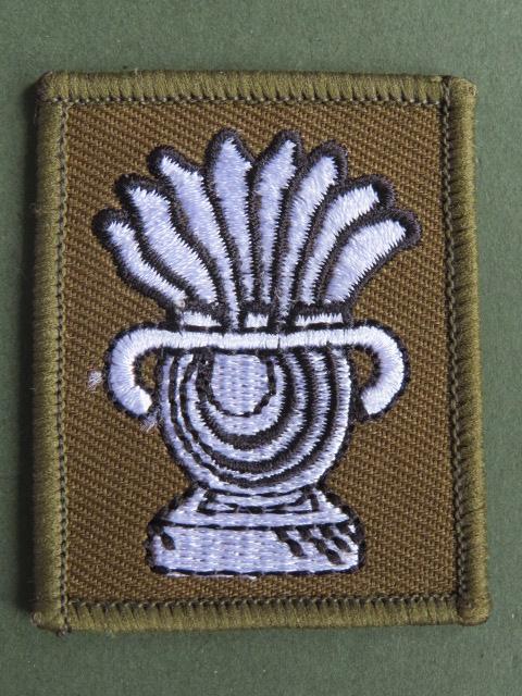 British Army 167 Catering Support Regiment, Royal Logistic Corps TRF