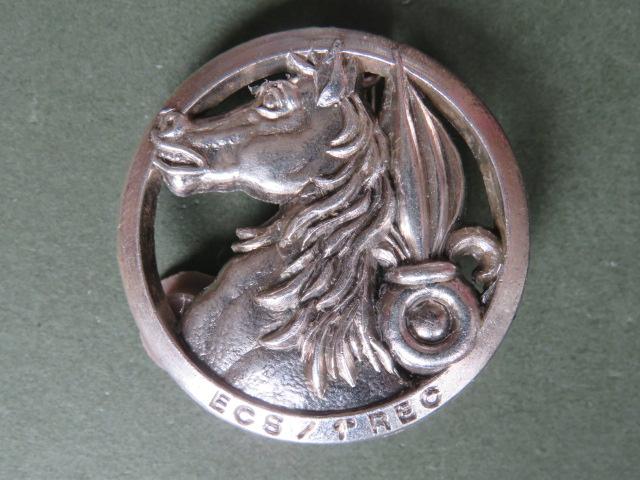 France Foreign Legion 1 REC HQ & Logistics Squadron (Escadron de Commandement et de Services, ECS) Pocket Crest