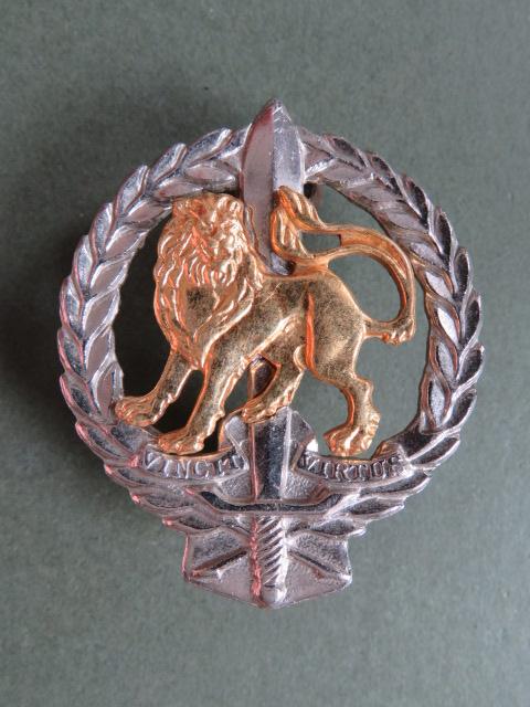 South Africa Army 
