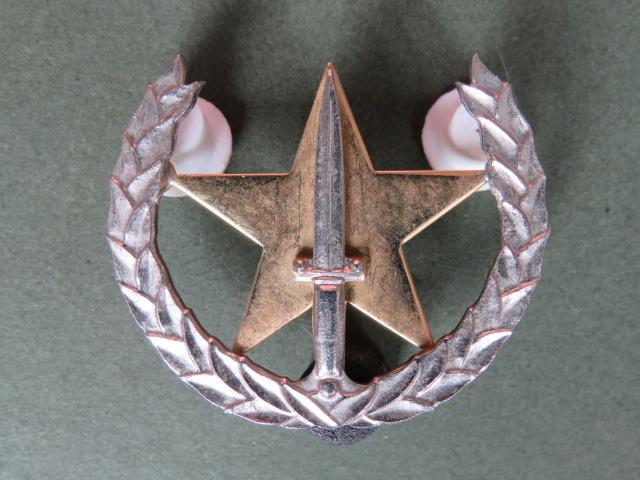 South Africa Air Force 