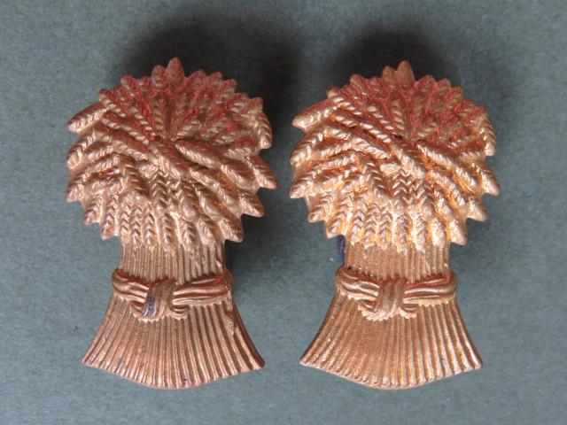 British Army The Lothians & Border Horse Collar Badges