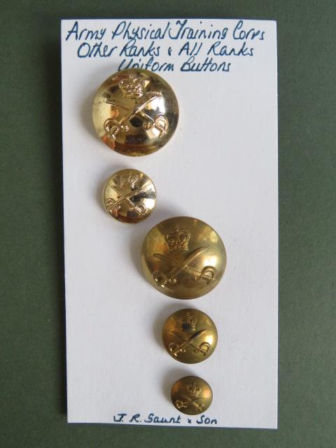 British Army 12 Army Physical Training Corps Uniform Buttons