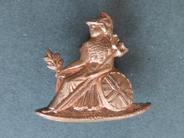 British Army The Norfolk Regiment 1882 Pattern Collar Badge