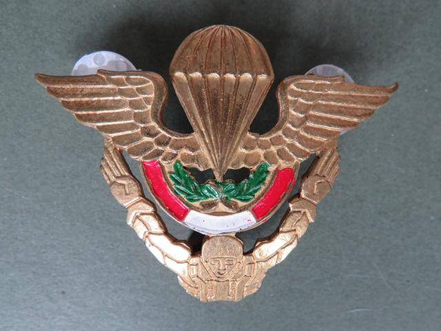 Peru Army Free Fall Parachute Wings