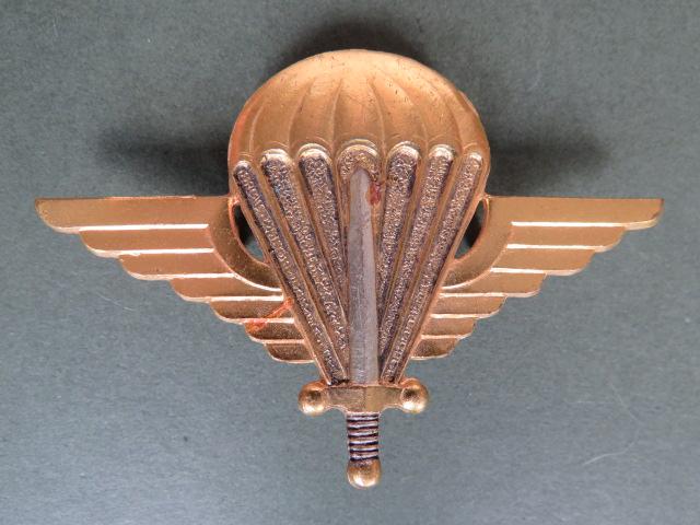 Malagasy Basic Parachute Wings