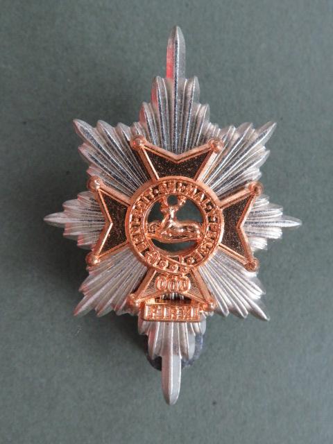 British Army The Worcestershire and Sherwood Foresters Regiment Cap Badge