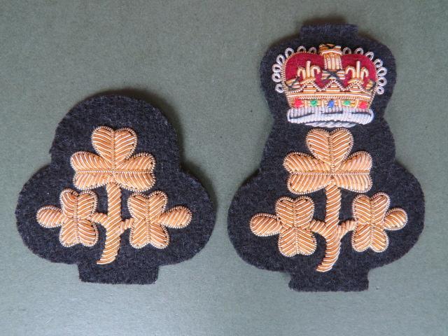 British Army Deputy Lord Lieutenant and Lord Lieutenant of Ireland No1 Dress Cap Badges