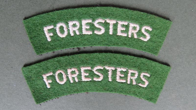 British Army Post WW2 Sherwood Foresters (Nottinghamshire and Derbyshire Regiment) Shoulder Titles