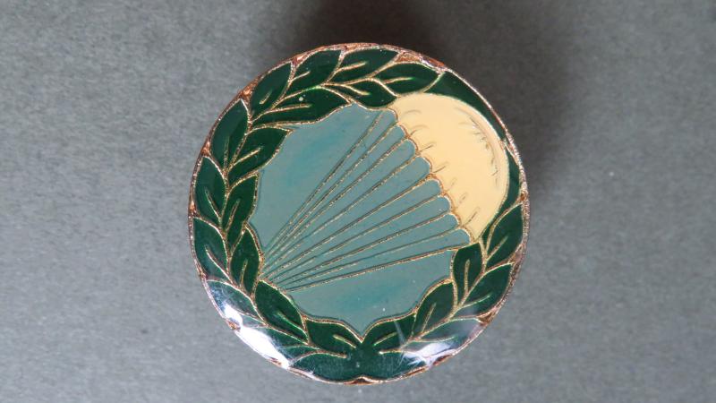 Hungary Veterans Post 1991 Parachute Lapel Badge