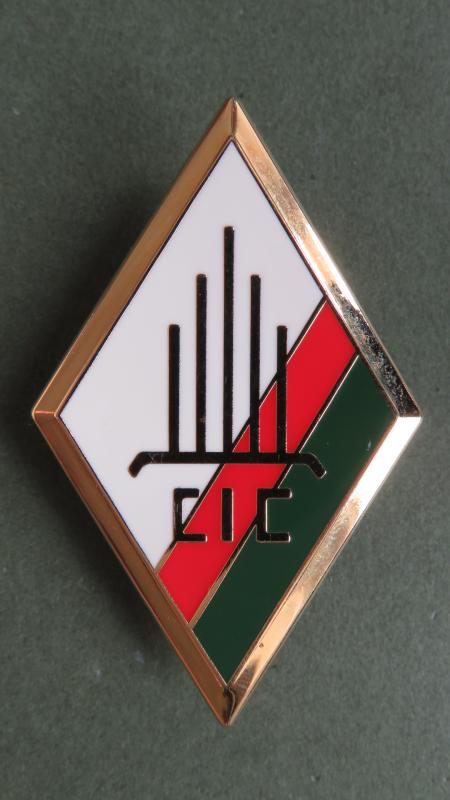 France Foreign Legion C.I.C (Commissioned and Non Commissioned Officers Instruction Company) Pocket Crest