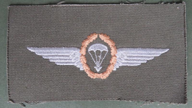 Germany Army Pre 1983 Basic (3rd Class) Parachute Wings