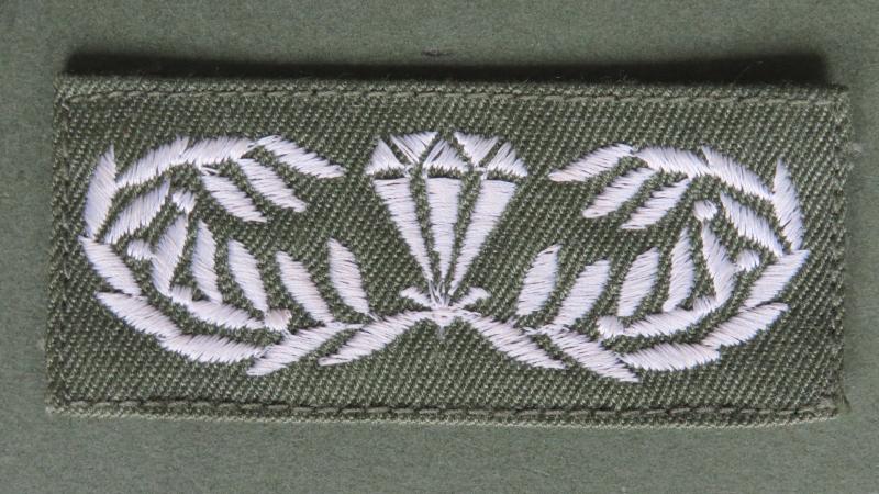 Japan Army Airborne Ranger Parachute Wings