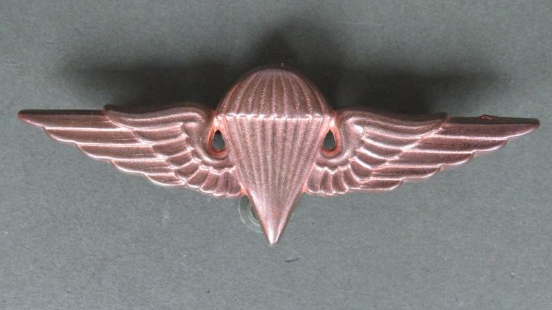 Iraq Post 1990 Army Parachute Wings