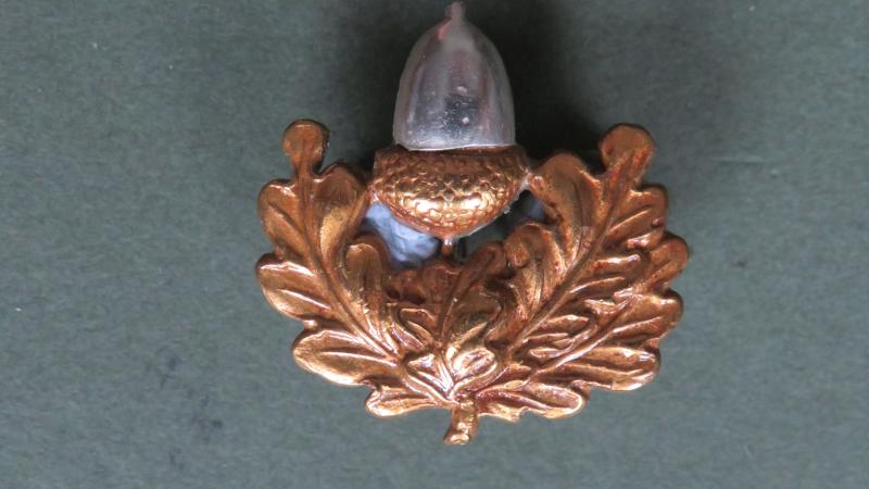 British Army Post WW2 The Cheshire Regiment Collar Badge