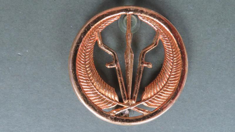 Chad Army Beret Badge