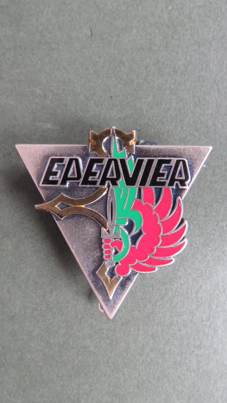 France Foreign Legion 2e Régiment Etranger de Parachutistes, 2e R.E.P.) Operation EPERVIER Pocket Crest)