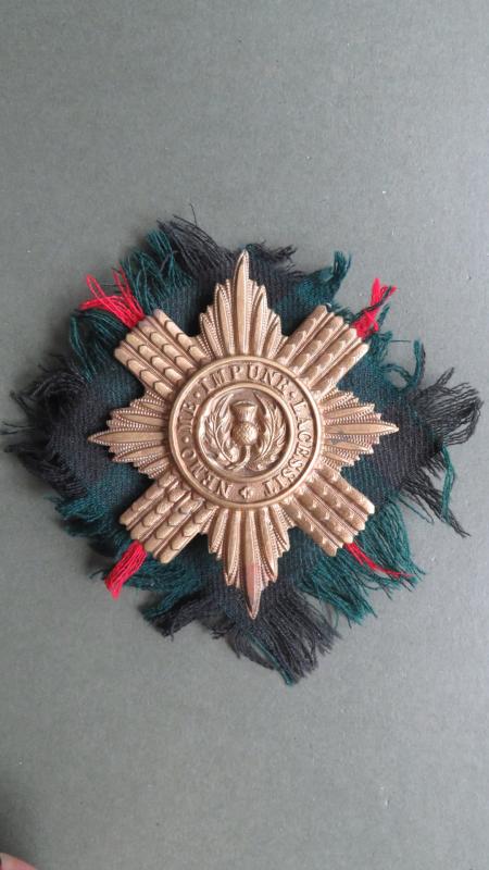 British Army Scots Guards OR's Bandsman's Music Case Pouch Badge Badge