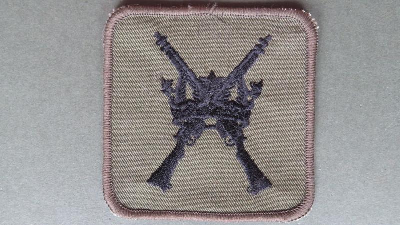 Royal Air Force Regiment 