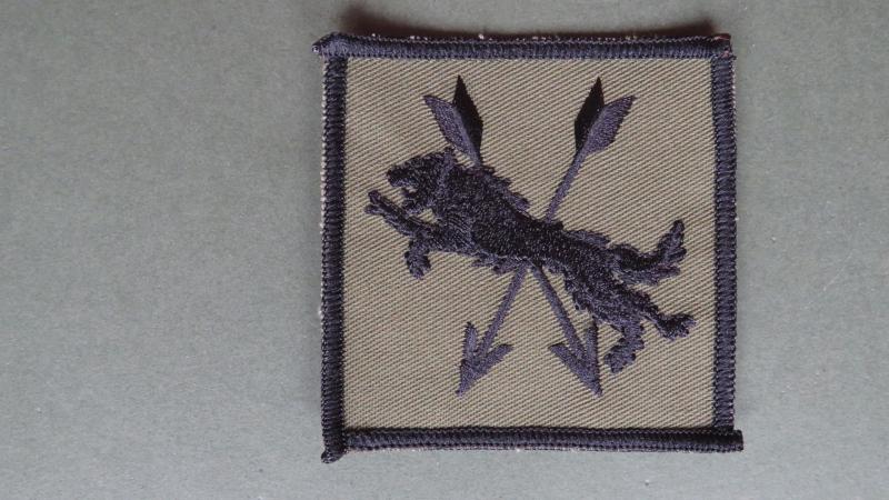 Royal Air Force 2623 Squadron RAuxAF Regiment Soulder Patch