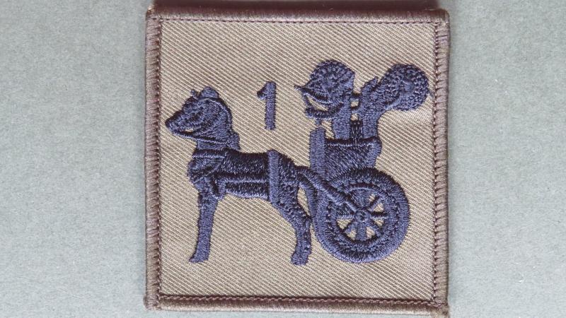 Royal Air Force Regiment 1 Squadron Shoulder Patch