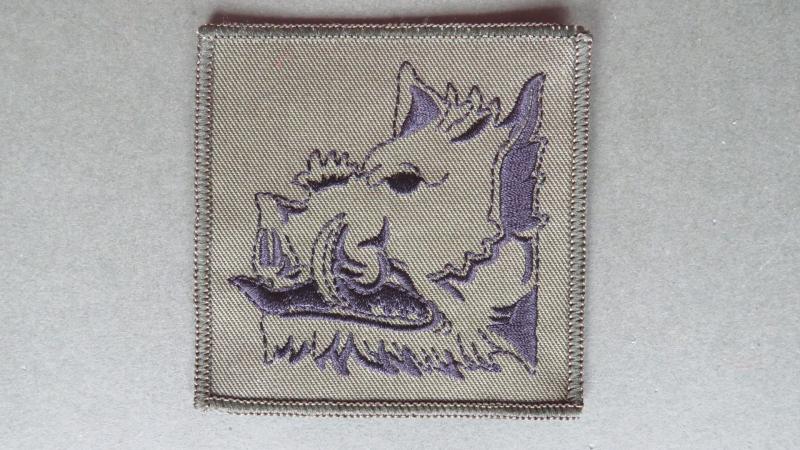 Royal Air Force Regiment 501 Squadron Shoulder Patch