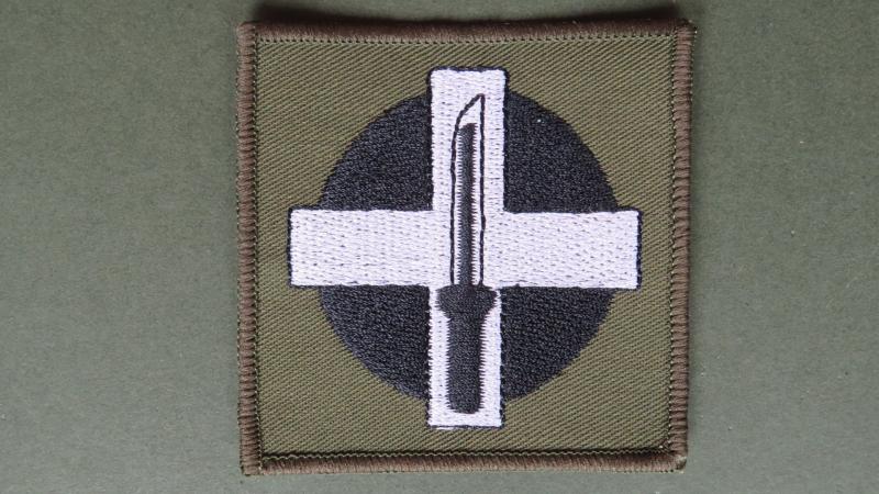 Royal Air Force 2625 Squadron RAuxAF Regiment Shoulder Patch