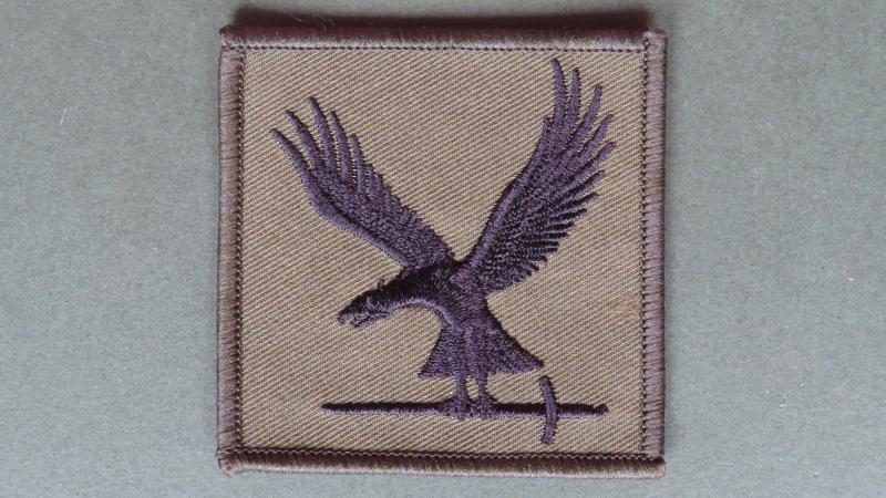 Royal Air Force Regiment No2 Force Protection Wing Shoulder Patch