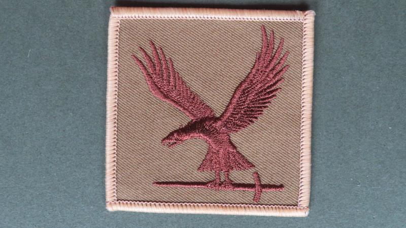 Royal Air Force Regiment No2 Force Protection Wing Shoulder Patch