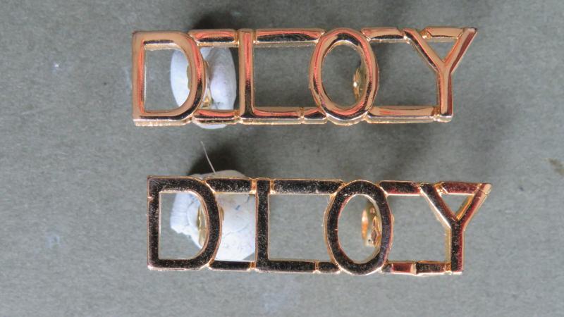 British Army The Duke of Lancaster's Own Yeomanry Shoulder Titles