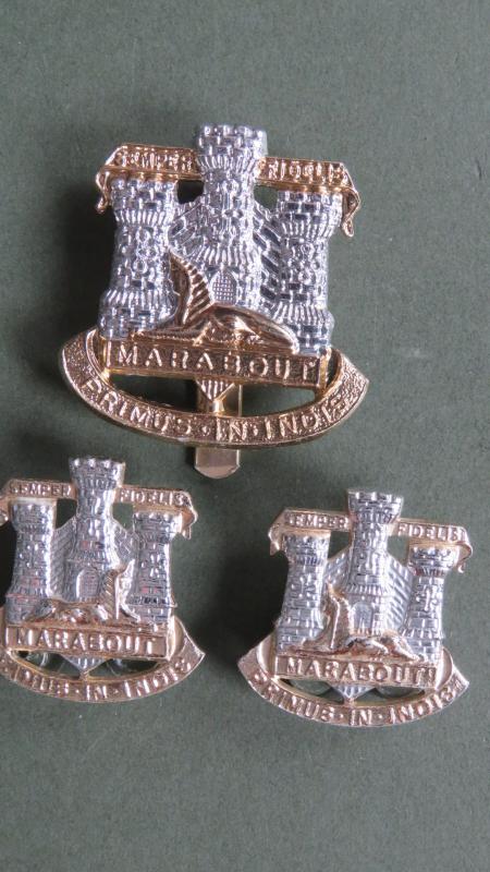 British Army The Devonshire & Dorset Regiment Cap & Collar Badges