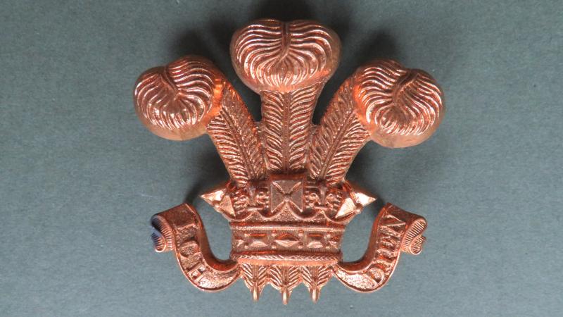 British Army The Royal Wiltshire Yeomanry (Prince of Wales's Own) NCO's Arm Badge