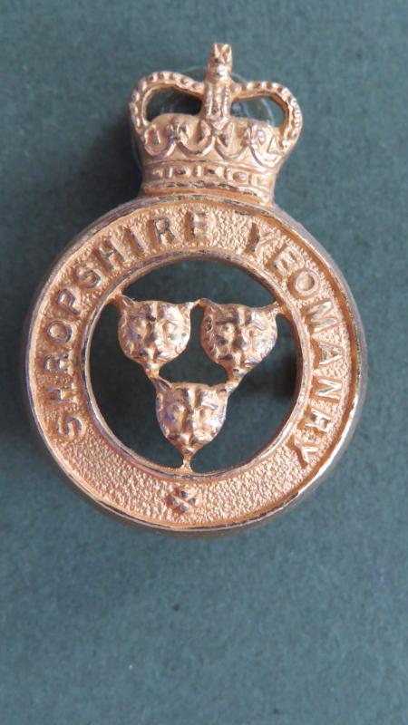 British Army Post 1953 Shropshire Yeomanry Officers Collar Badge