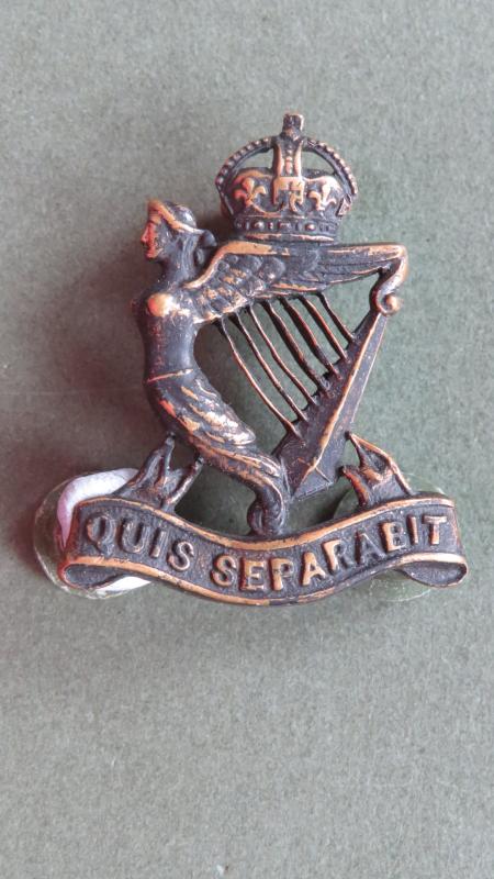 British Army The Royal Irish Rifles Officers' Service Dress Collar Badge