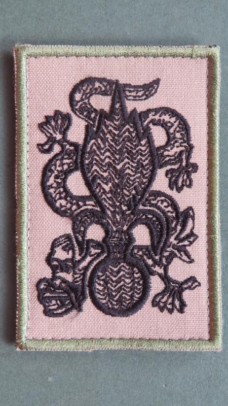 French Foreign Legion 2 REI