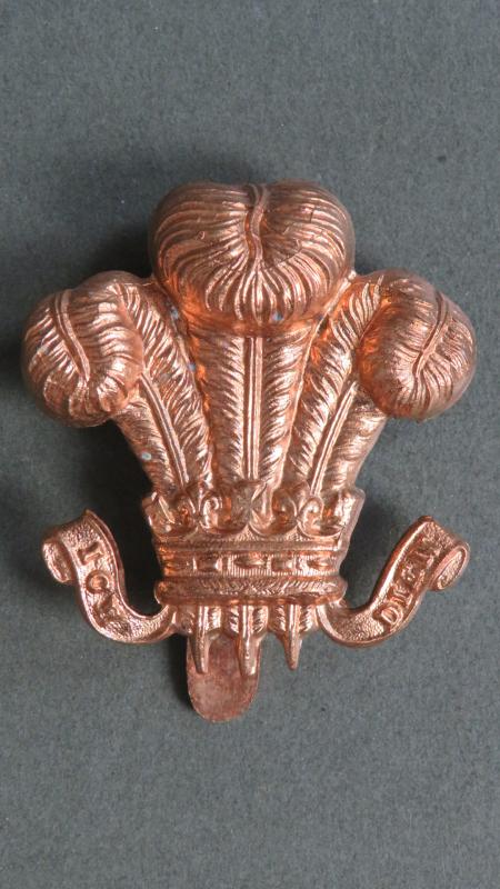British Army The Royal Wiltshire Yeomanry (Prince of Wales's Own) Cap Badge
