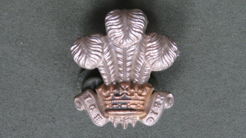 British Army The Royal Wiltshire Yeomanry (Prince of Wales's Own) Collar Badge