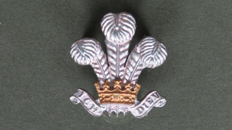 British Army The Royal Wiltshire Yeomanry (Prince of Wales's Own) Officers' Collar Badge