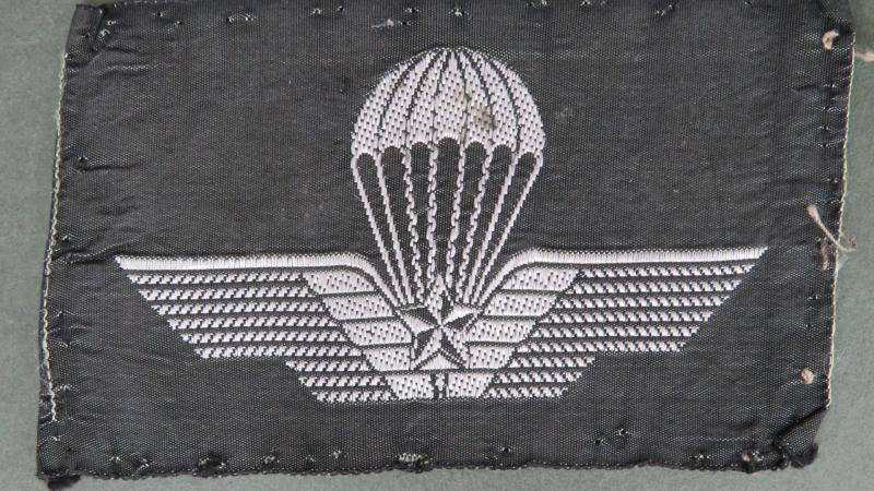 Italy Army (Military Trained) Parachute Wings